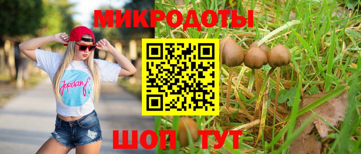 Родники  где найти наркотики  Вход с VPN  Псилоцибиновые грибы мухоморы 