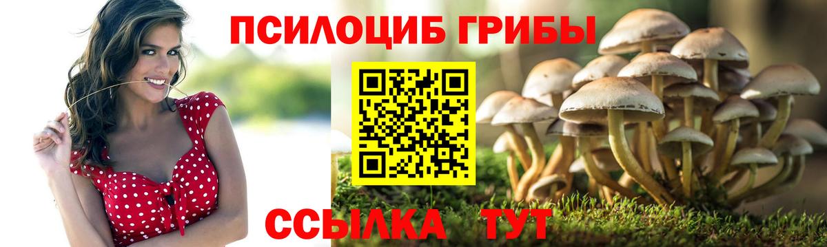 Псилоцибиновые грибы ЛСД Родники